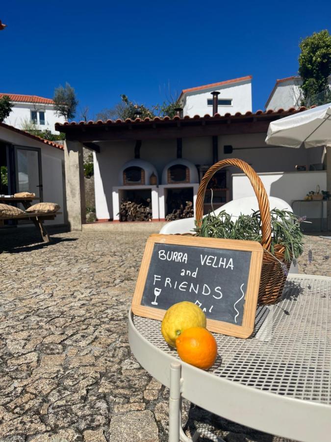 فيلا Burra Velha - Private House سيلوريكو دي باستو المظهر الخارجي الصورة